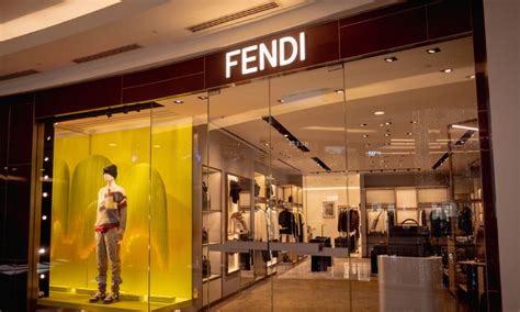 fendi srl commenti|who is fendi owned by.